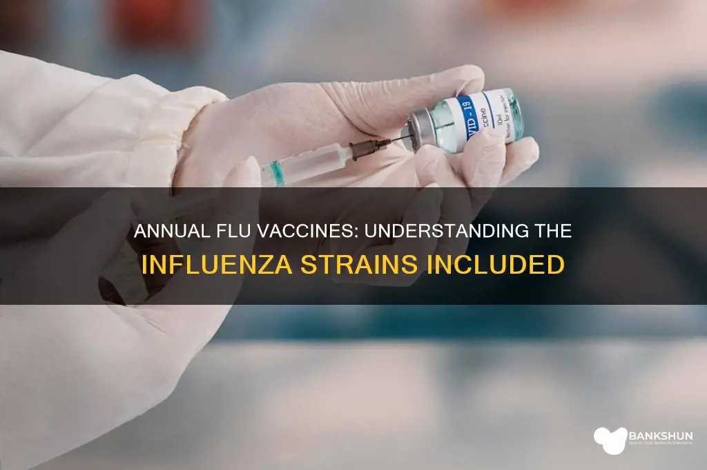 what infleunza strains are in annual vaccines