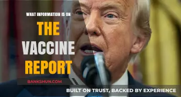 Understanding Vaccine Reports: Key Details and Essential Information Explained