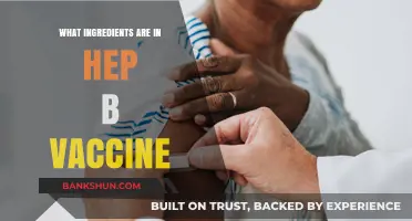 Hepatitis B Vaccine Ingredients: A Comprehensive Breakdown of Components
