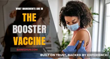 Unveiling the Key Ingredients in Booster Vaccines: A Comprehensive Guide