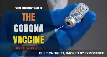 Unveiling the Key Ingredients in the COVID-19 Corona Vaccine