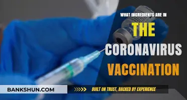 Unveiling the Key Ingredients in COVID-19 Vaccines: A Comprehensive Guide