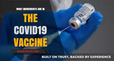 Understanding COVID-19 Vaccine Ingredients: A Comprehensive Breakdown