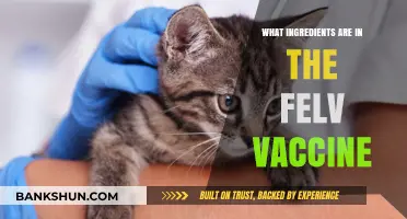 Understanding the Felv Vaccine: Key Ingredients and Their Roles