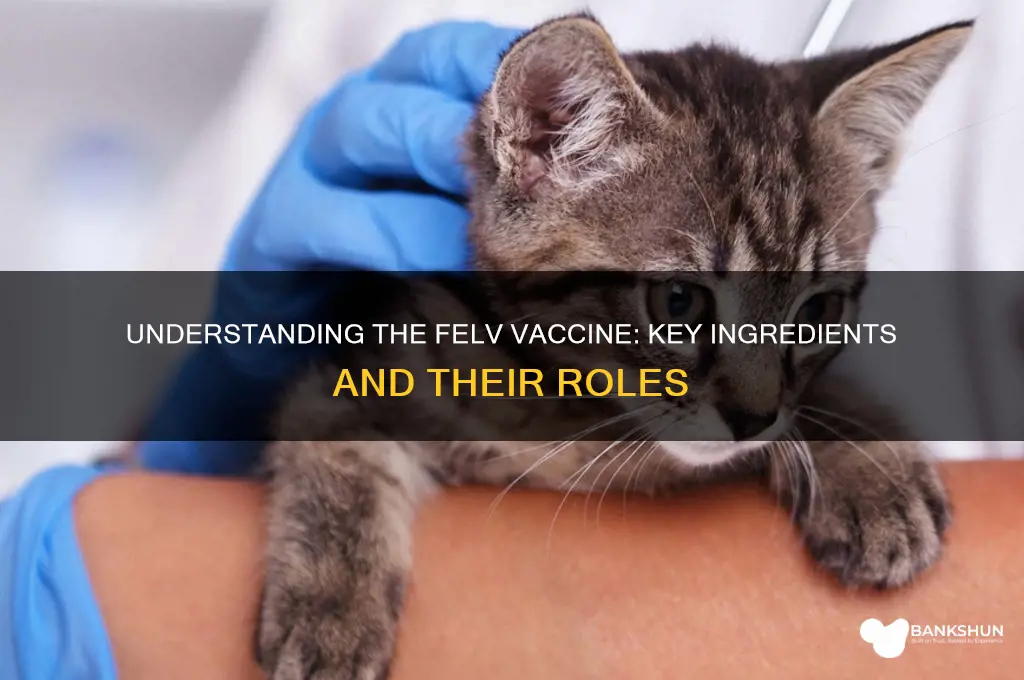 what ingredients are in the felv vaccine