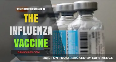 Understanding the Key Ingredients in the Influenza Vaccine