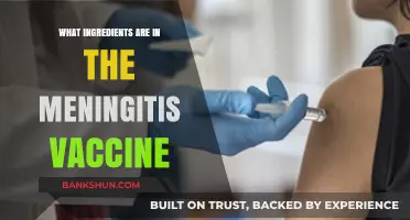 Understanding Meningitis Vaccine Ingredients: A Comprehensive Breakdown