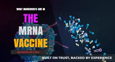Unveiling the Key Ingredients in the mRNA COVID-19 Vaccine