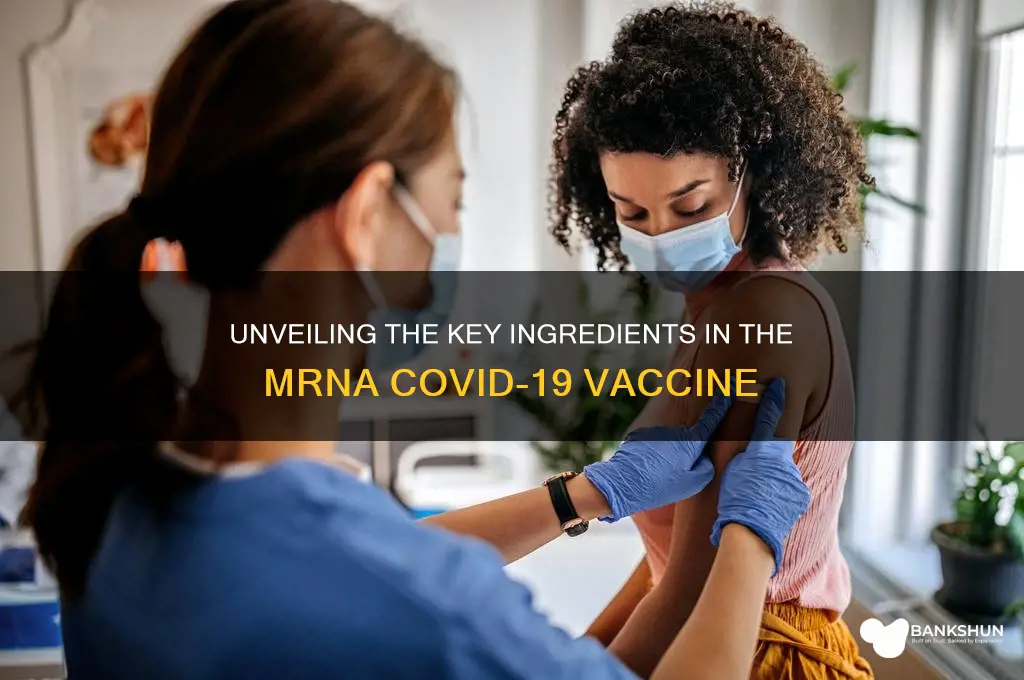 what ingredients are in the mrna vaccine