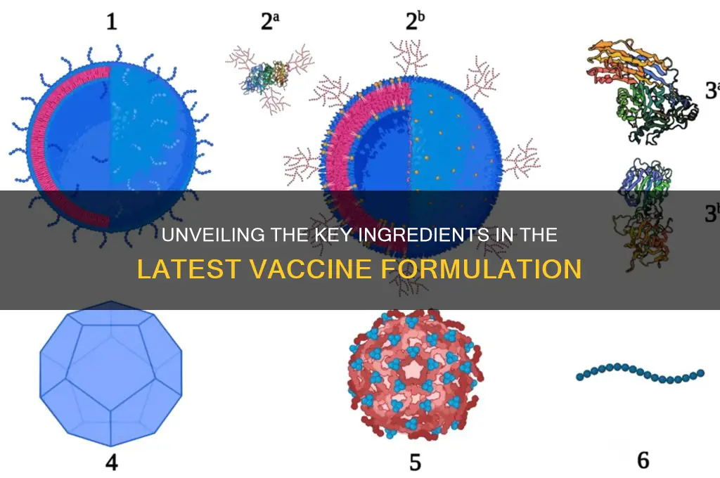 what ingredients are in the new vaccine