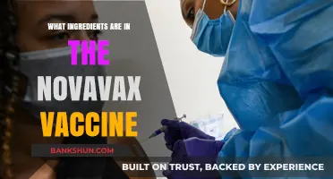 Understanding Novavax: Key Ingredients in the COVID-19 Vaccine Explained