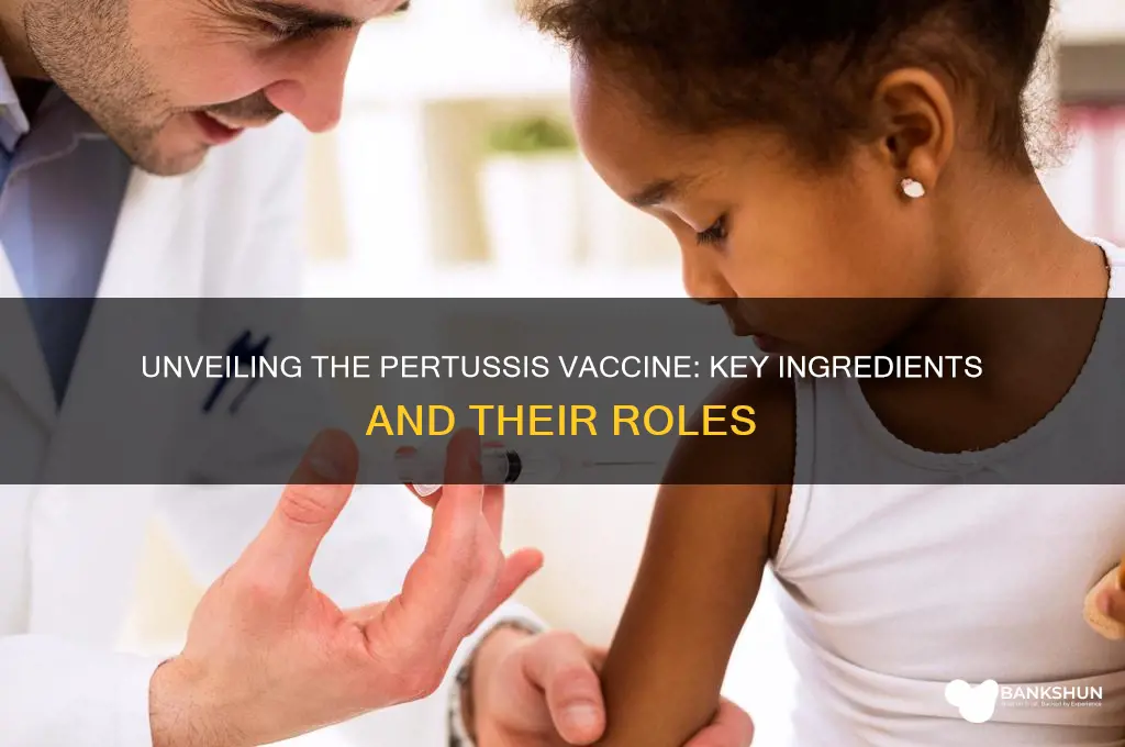 what ingredients are in the pertussis vaccine