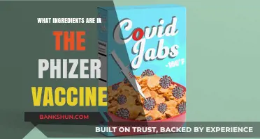 Unveiling Pfizer's COVID-19 Vaccine: Key Ingredients and Their Roles