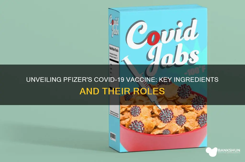 what ingredients are in the phizer vaccine