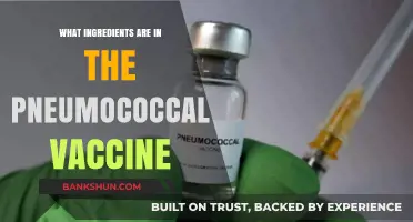 Understanding Pneumococcal Vaccine Ingredients: A Comprehensive Breakdown