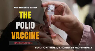Understanding the Polio Vaccine: Key Ingredients and Their Role