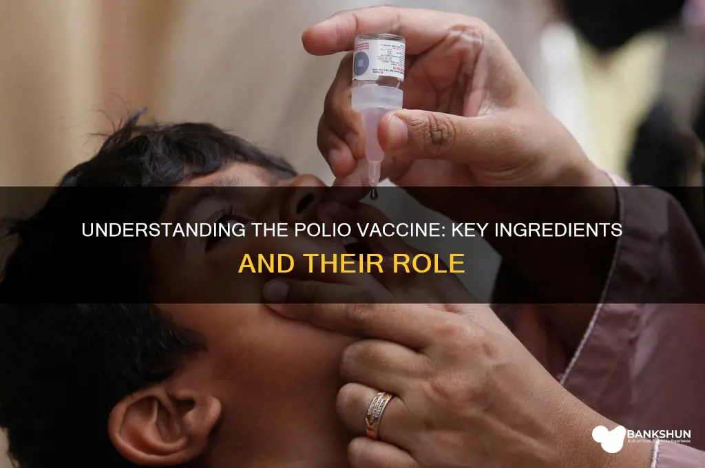 what ingredients are in the polio vaccine
