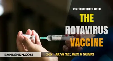 Rotavirus Vaccine Ingredients: A Comprehensive Breakdown of Its Components