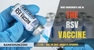 RSV Vaccine Ingredients: A Comprehensive Breakdown of Its Composition