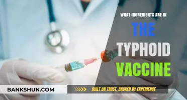 Typhoid Vaccine Ingredients: Understanding the Components and Their Role
