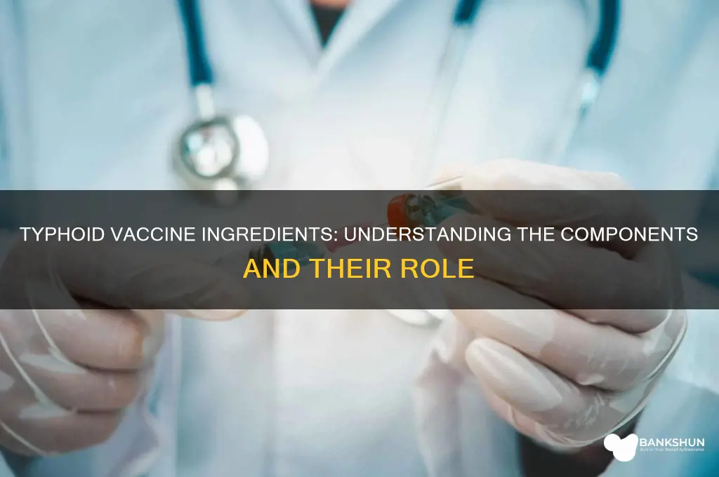 what ingredients are in the typhoid vaccine