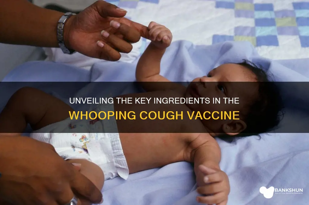 what ingredients are in whooping cough vaccine