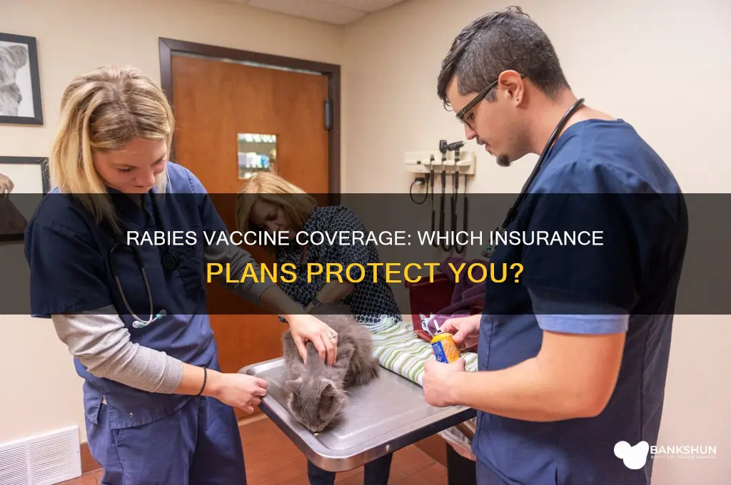 what insurance covers rabies vaccine for humans