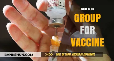 Understanding the 1C Group: Vaccine Eligibility and Prioritization Explained