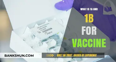 Understanding Vaccine Dose Types: 1A and 1B Explained Simply