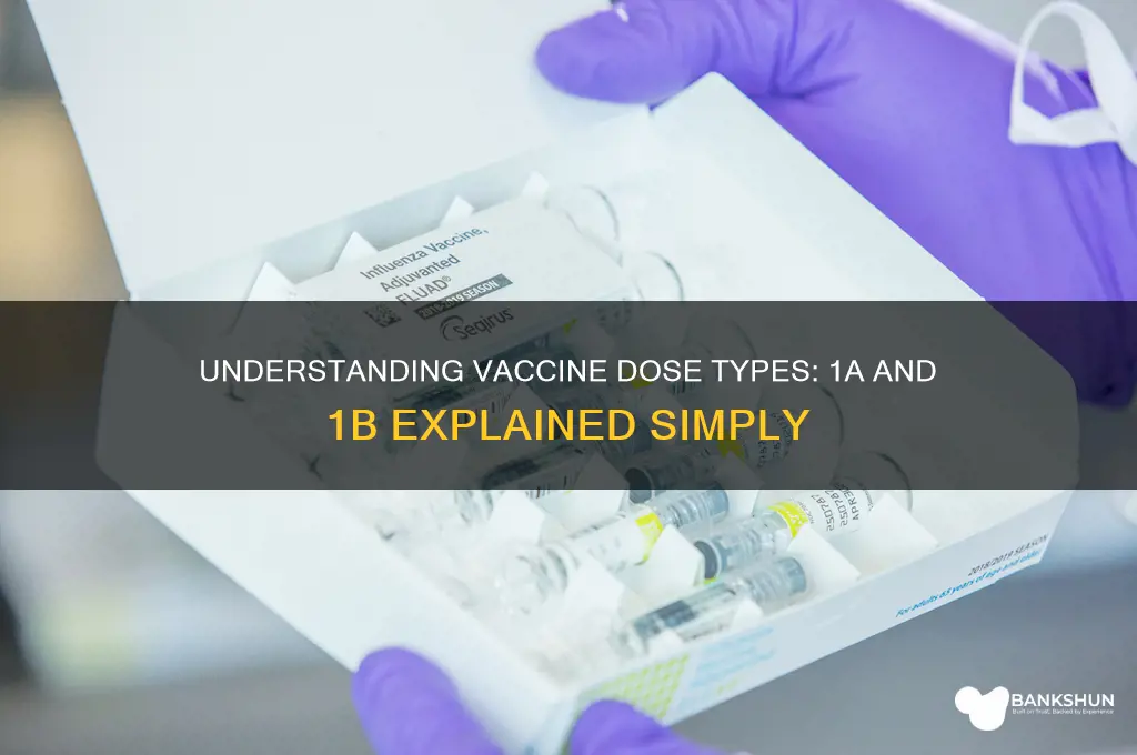 what is 1a and 1b for vaccine
