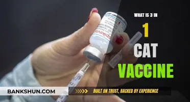 Understanding the 3-in-1 Cat Vaccine: Benefits and Importance