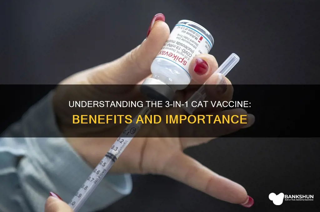 what is 3 in 1 cat vaccine