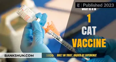 Understanding the Essential 4-in-1 Cat Vaccine: Benefits and Importance