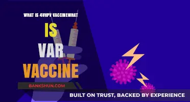 Understanding 4vHPV and VAR Vaccines: Key Differences and Benefits