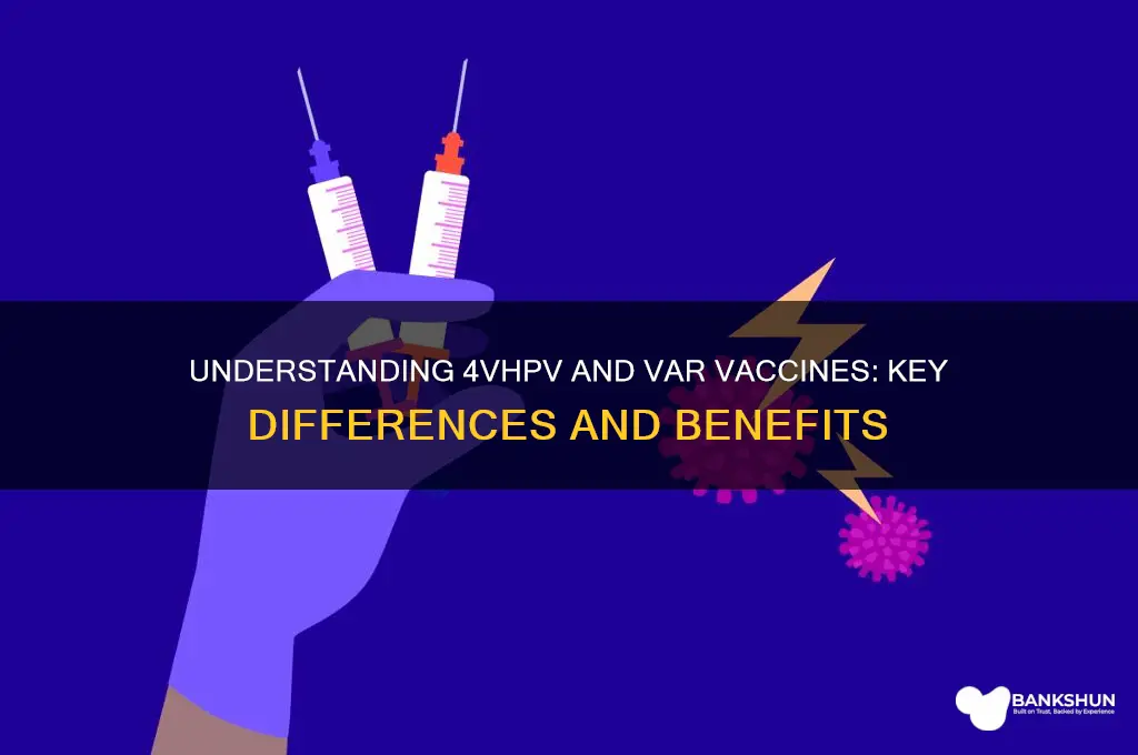 what is 4vhpv vaccinewhat is var vaccine
