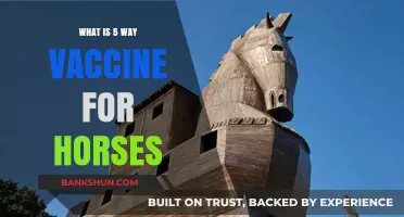 Understanding the Essential 5-Way Vaccine for Horse Health Protection