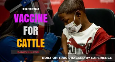 Understanding the 7-Way Vaccine: Essential Cattle Health Protection Explained