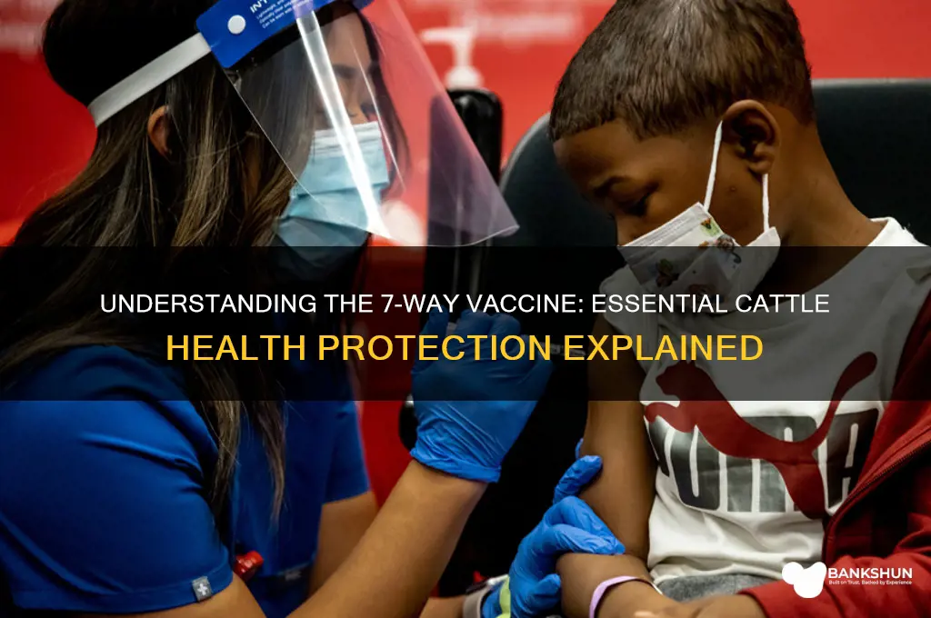 what is 7 way vaccine for cattle