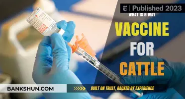 Understanding the 8-Way Vaccine for Cattle: Benefits and Importance