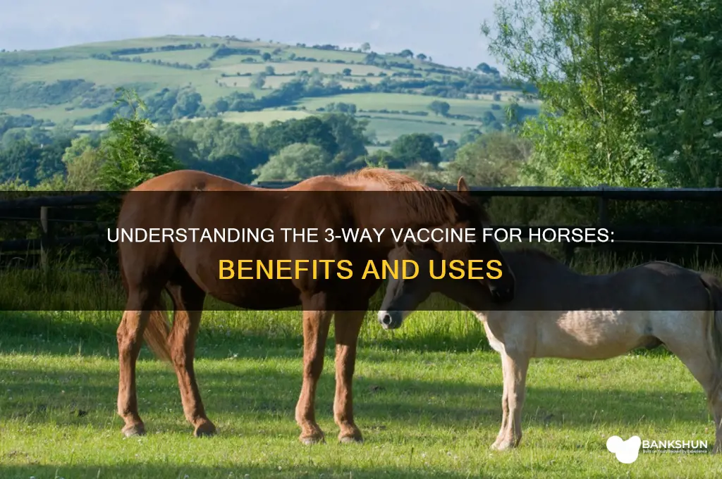 what is a 3 way vaccine horse