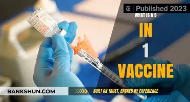 Understanding the 5-in-1 Vaccine: Benefits, Protection, and Importance
