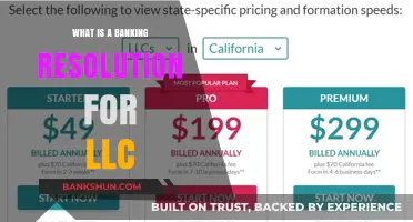 LLC Banking Resolution: What It Is and Why It Matters