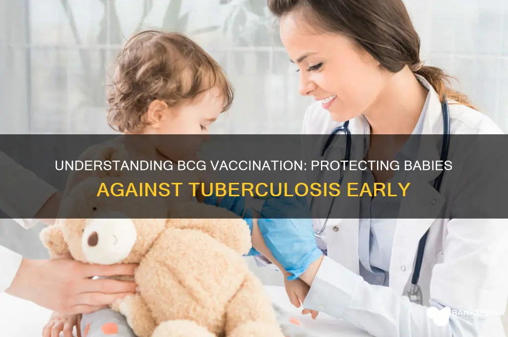 what is a bcg vaccination for babies