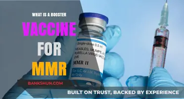 Understanding the Importance of MMR Booster Vaccines for Lifelong Immunity