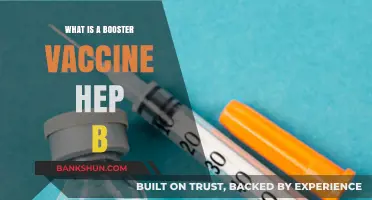 Understanding Hepatitis B Booster Vaccines: Importance, Timing, and Benefits