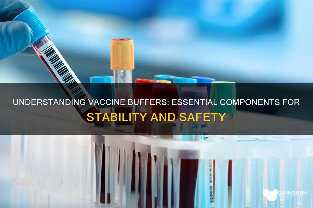 what is a buffer in a vaccine