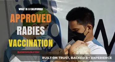 Understanding California-Approved Rabies Vaccinations: Requirements and Importance