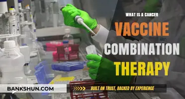 Cancer Vaccine Combination Therapy: Unlocking New Frontiers in Cancer Treatment
