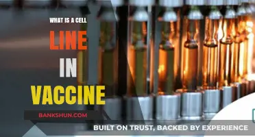 Understanding Cell Lines: Their Role in Vaccine Development and Production