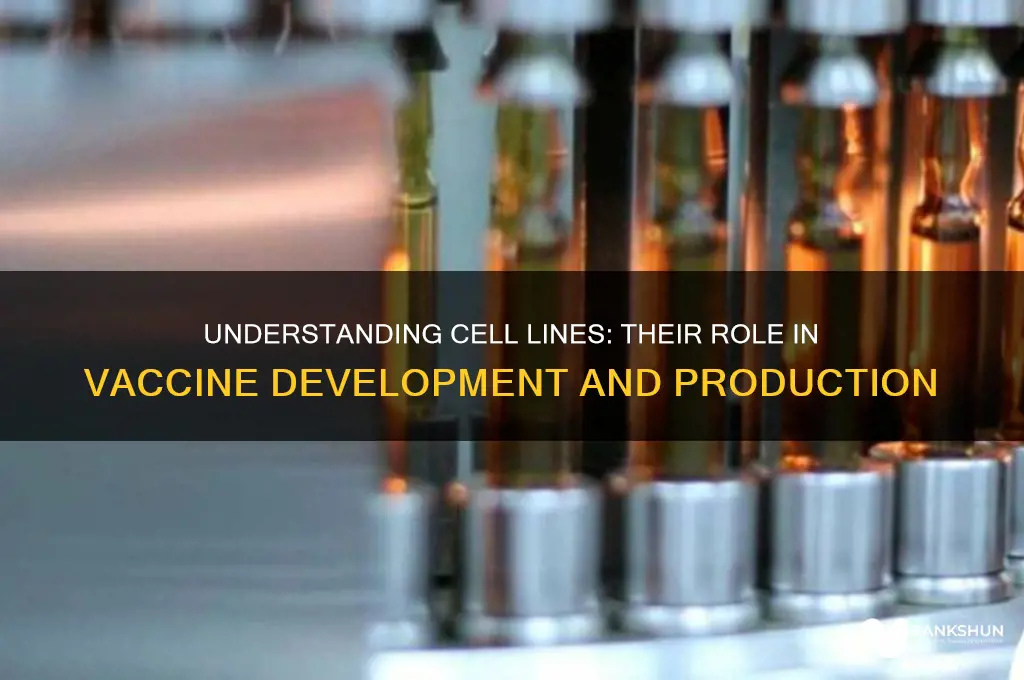 what is a cell line in vaccine